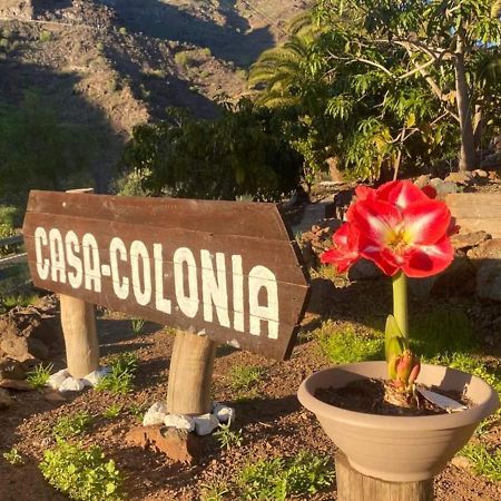 Casa Colonia Lejlighed Mogán Eksteriør billede